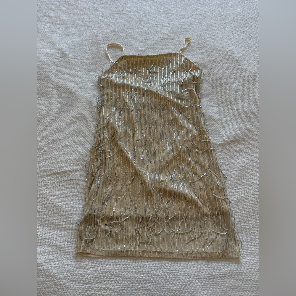Cream and Silver Sequin Dress, size L (NWT! ✨